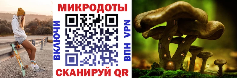 Псилоцибиновые грибы мицелий Каспийск