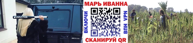 Каннабис Amnesia Каспийск